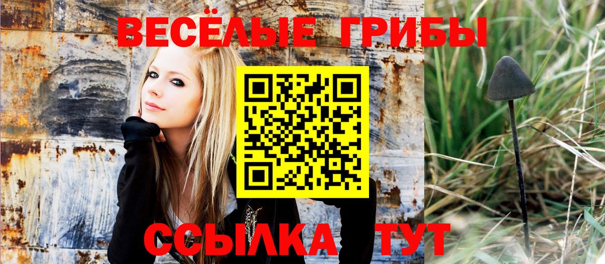 Галлюциногенные грибы Magic Shrooms Солнечногорск
