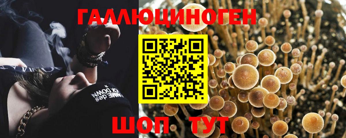 Солнечногорск  Псилоцибиновые грибы Psilocybine cubensis  продажа наркотиков  Вход с VPN 